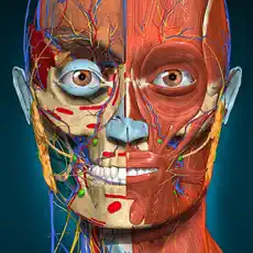 Anatomy Learning – 3D Anatomy