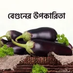 বেগুনের উপকারিতা